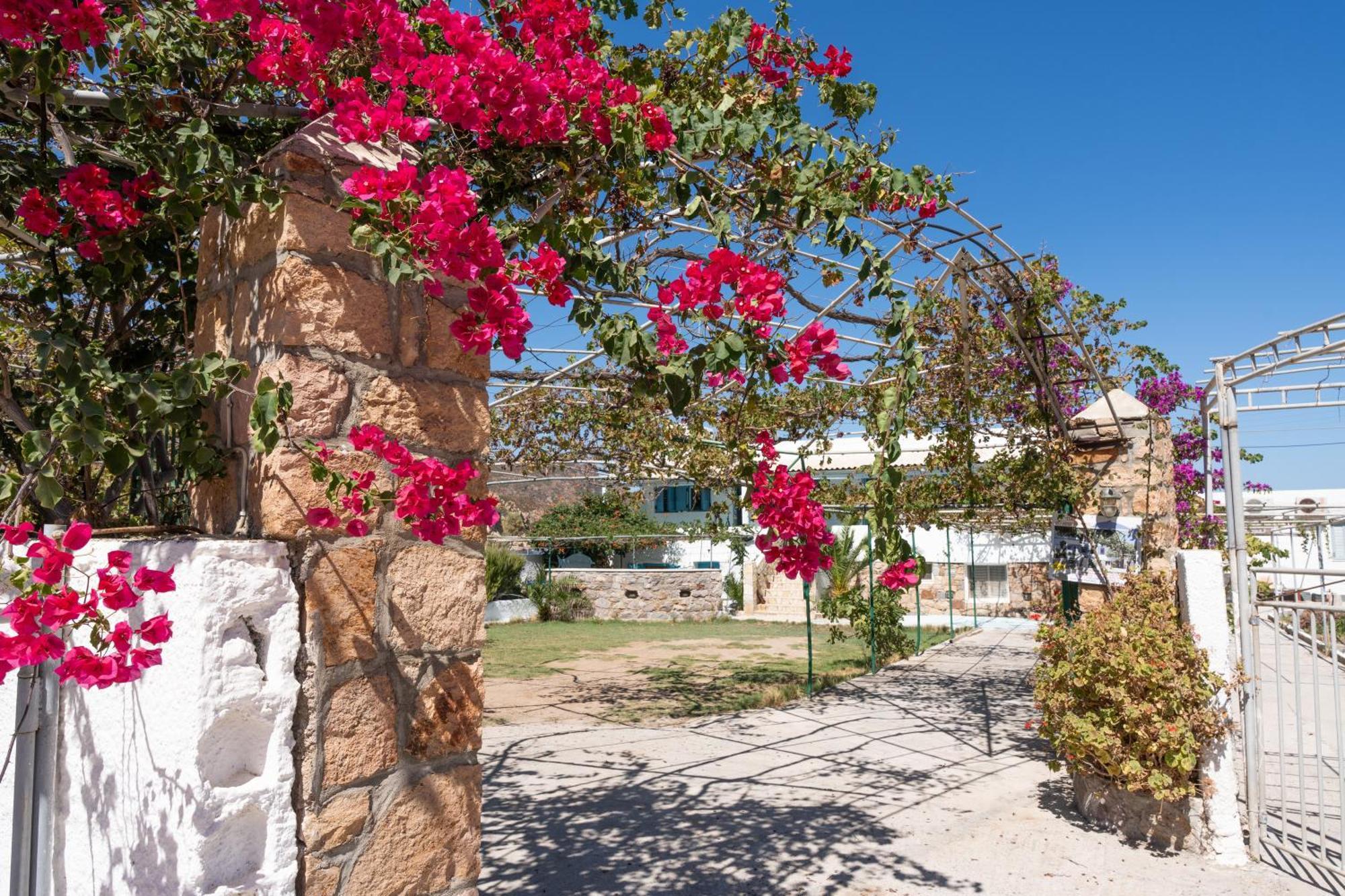 Beachfront Lampis Dolphin 4 Σκάλα Εξωτερικό φωτογραφία